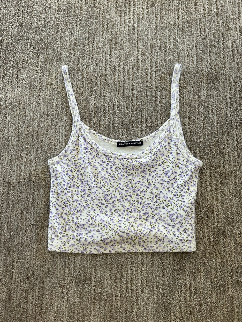 NWOT Brandy Melville Skylar Tank